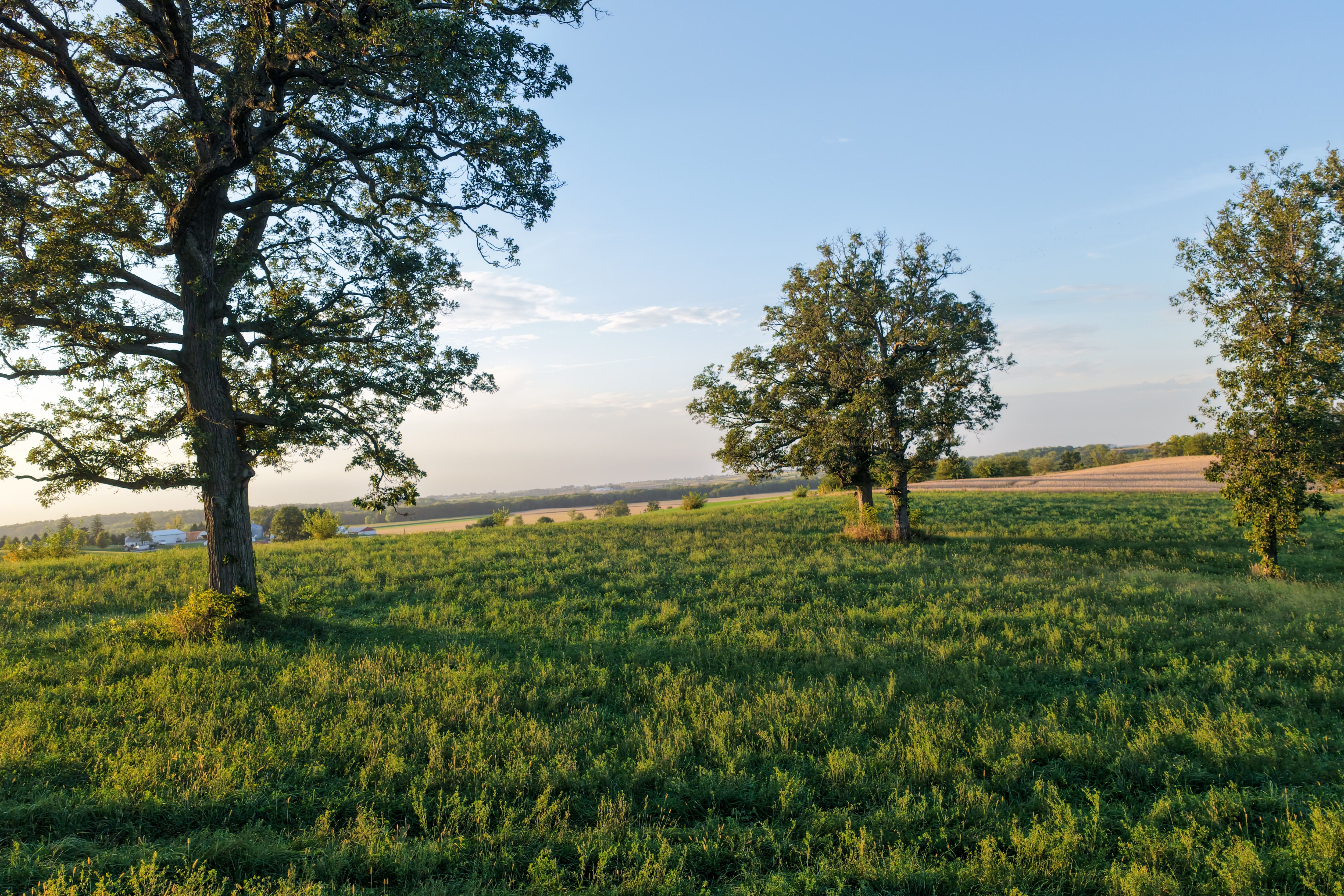 Listing Photo: Johnson County 4 Acre Building Site For Sale